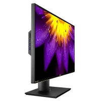 Монитор ASUS PA329Q фото 1